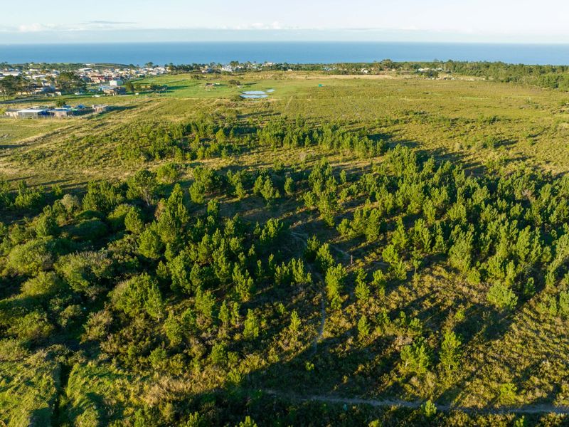 Views, Space and Opportunity in One Exceptional Property - Photo 7