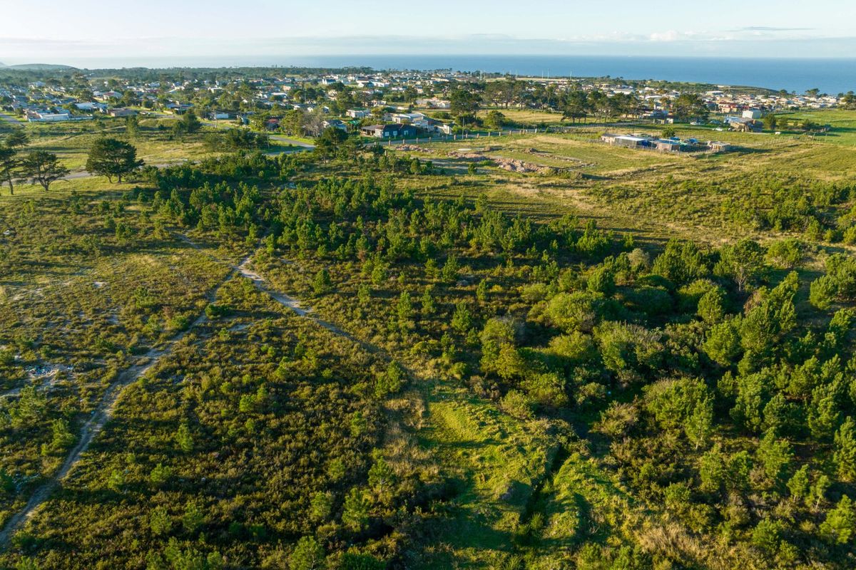 Views, Space and Opportunity in One Exceptional Property - Photo 5