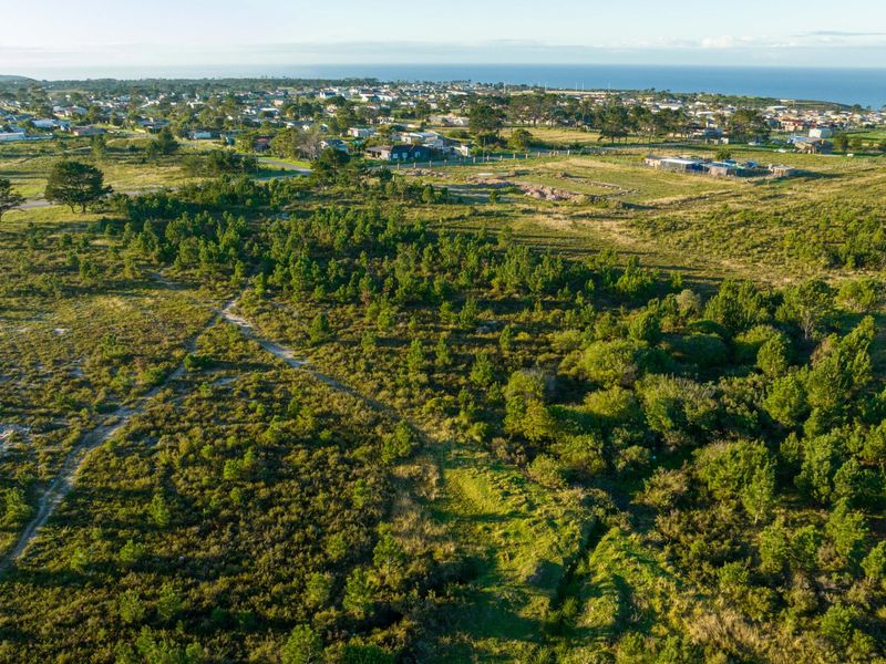 Views, Space and Opportunity in One Exceptional Property - Photo 5