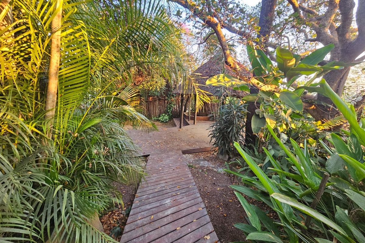Centrally Located, Large House - Photo 5