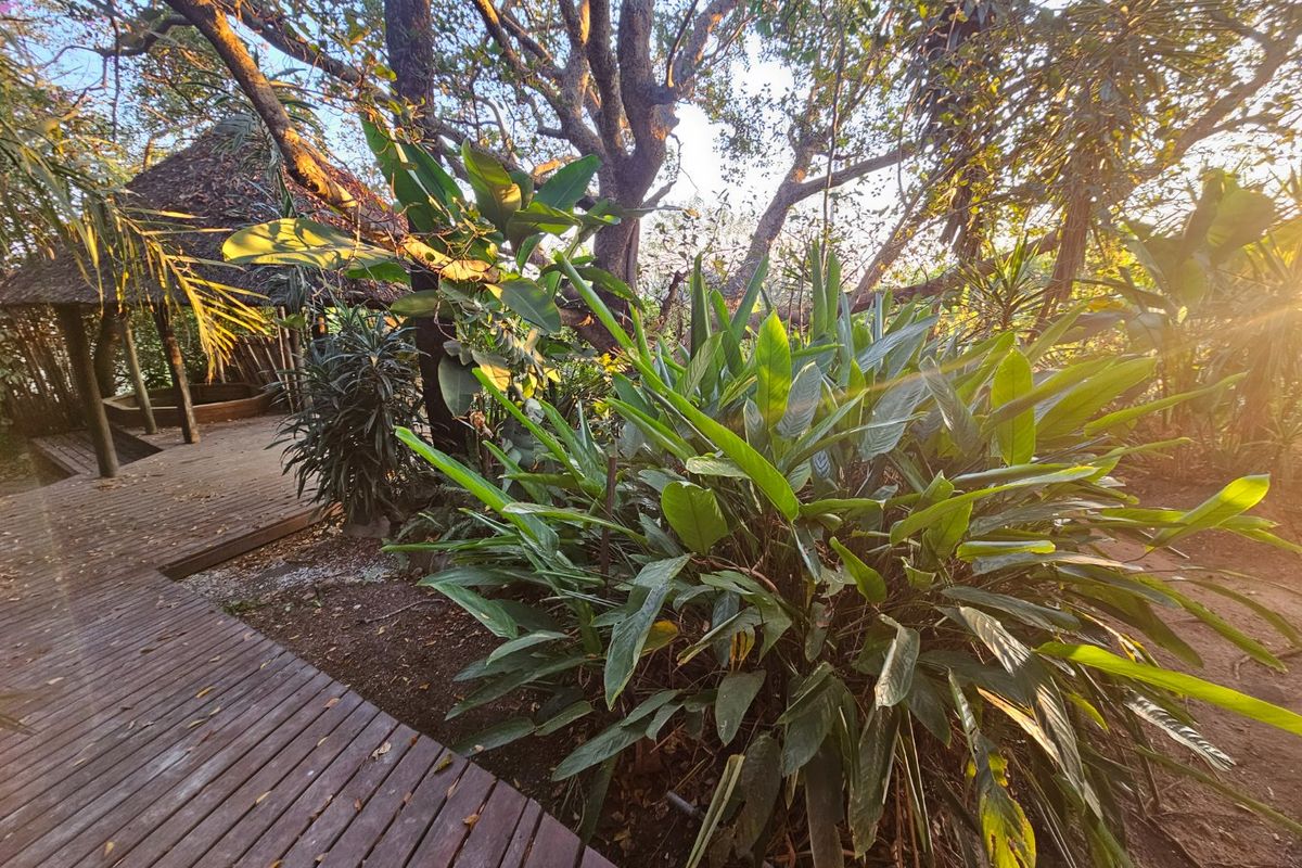 Centrally Located, Large House - Photo 4