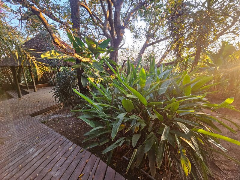 Centrally Located, Large House - Photo 4