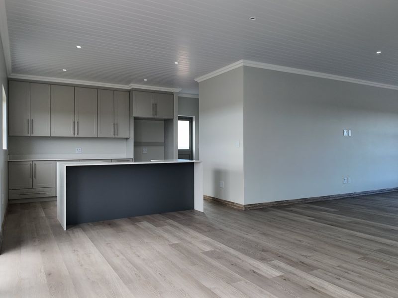 Brand New Home in Plattebosch Kloof Estate - Photo 6