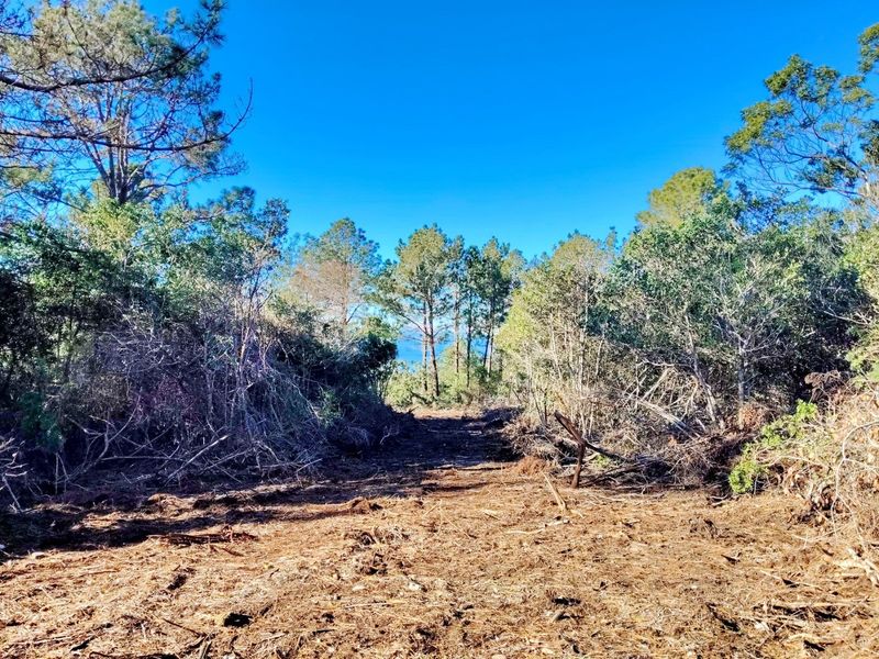 Golden Opportunity - unique property - Photo 3