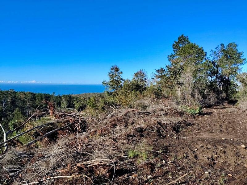 Golden Opportunity - unique property - Photo 10