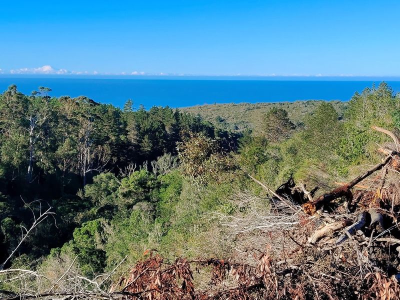 Golden Opportunity - unique property - Photo 9