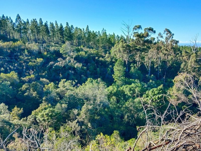 Golden Opportunity - unique property - Photo 7