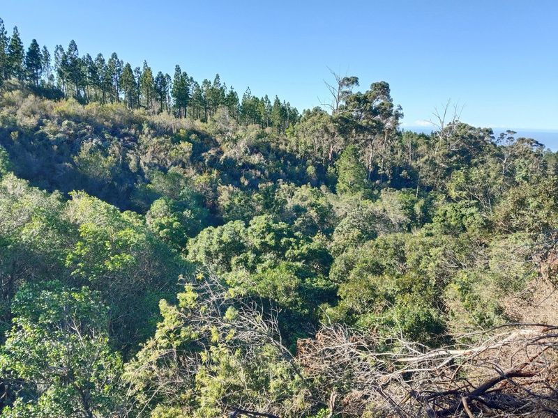 Golden Opportunity - unique property - Photo 6