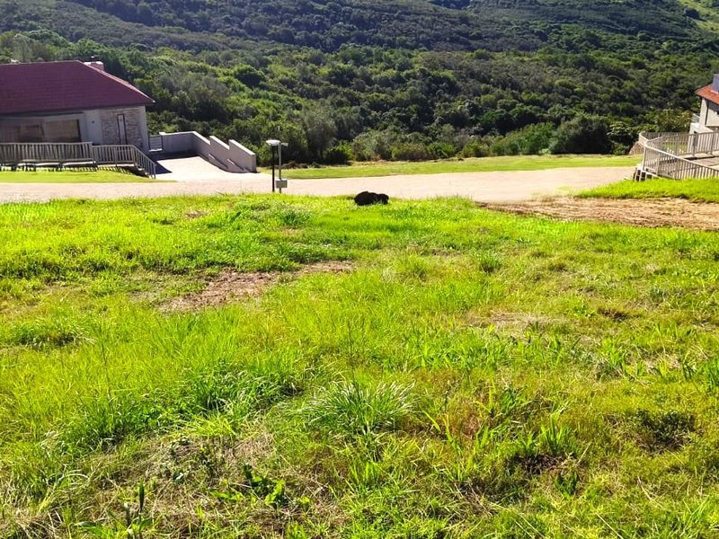 BREATHTAKING UNINTERRUPTED MOUNTAIN VIEWS - Photo 4