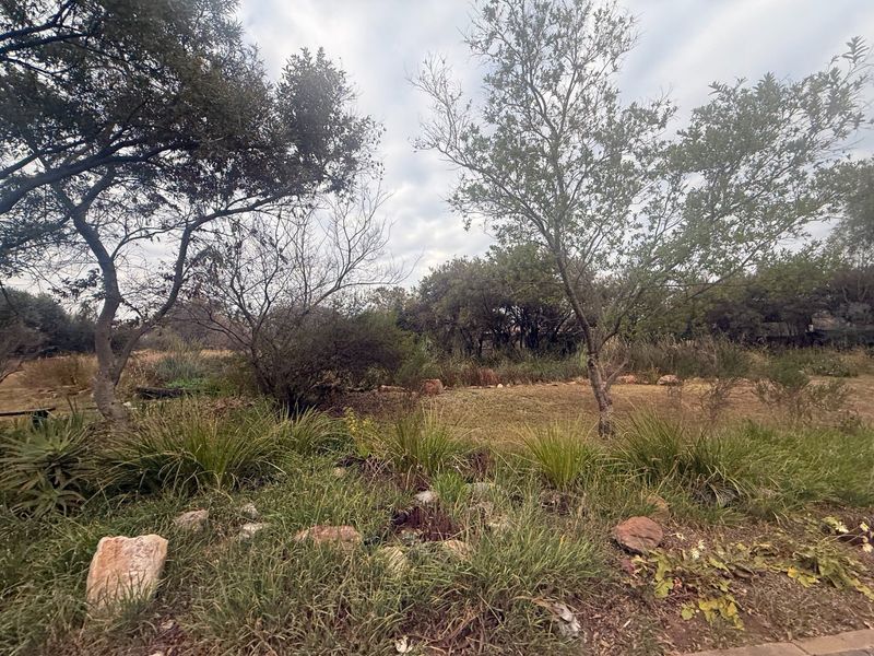 A natural, established garden area featuring mature trees, indigenous grasses, and rock features, offering a peaceful and private outdoor setting.