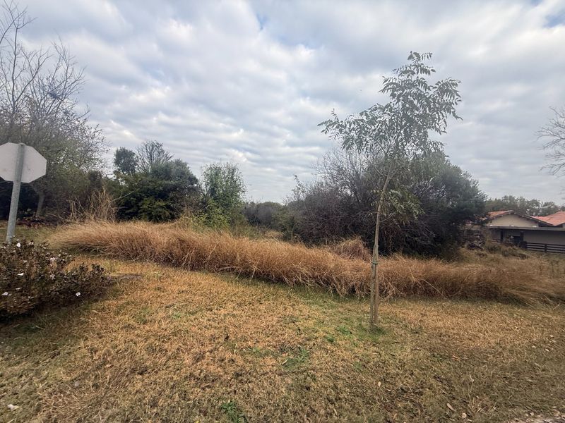 A view of a vacant residential plot featuring natural grassland and mature trees, offering a blank canvas for future development.
