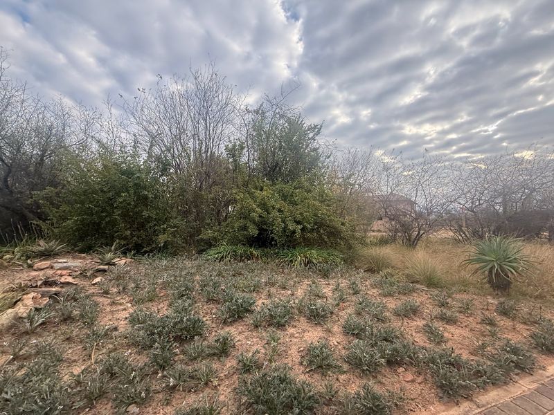 A view of the residential vacant land featuring established native shrubs, ground cover, and natural rockery elements.