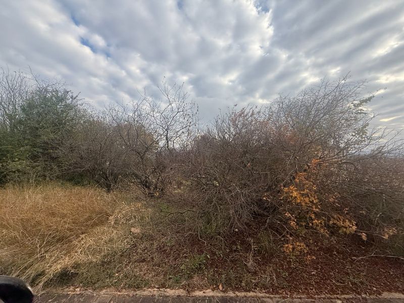 A view of a vacant residential plot featuring dense, overgrown vegetation and mature shrubs requiring clearing.