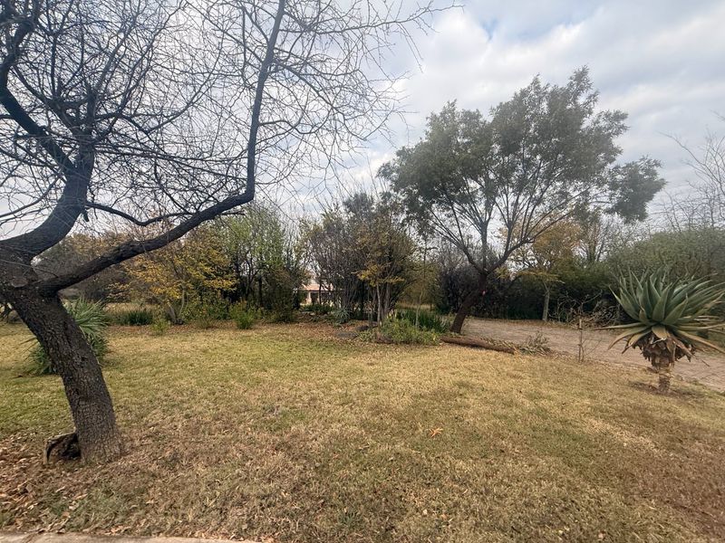 A spacious residential garden area featuring mature trees, established lawn, and a paved driveway leading towards the property.