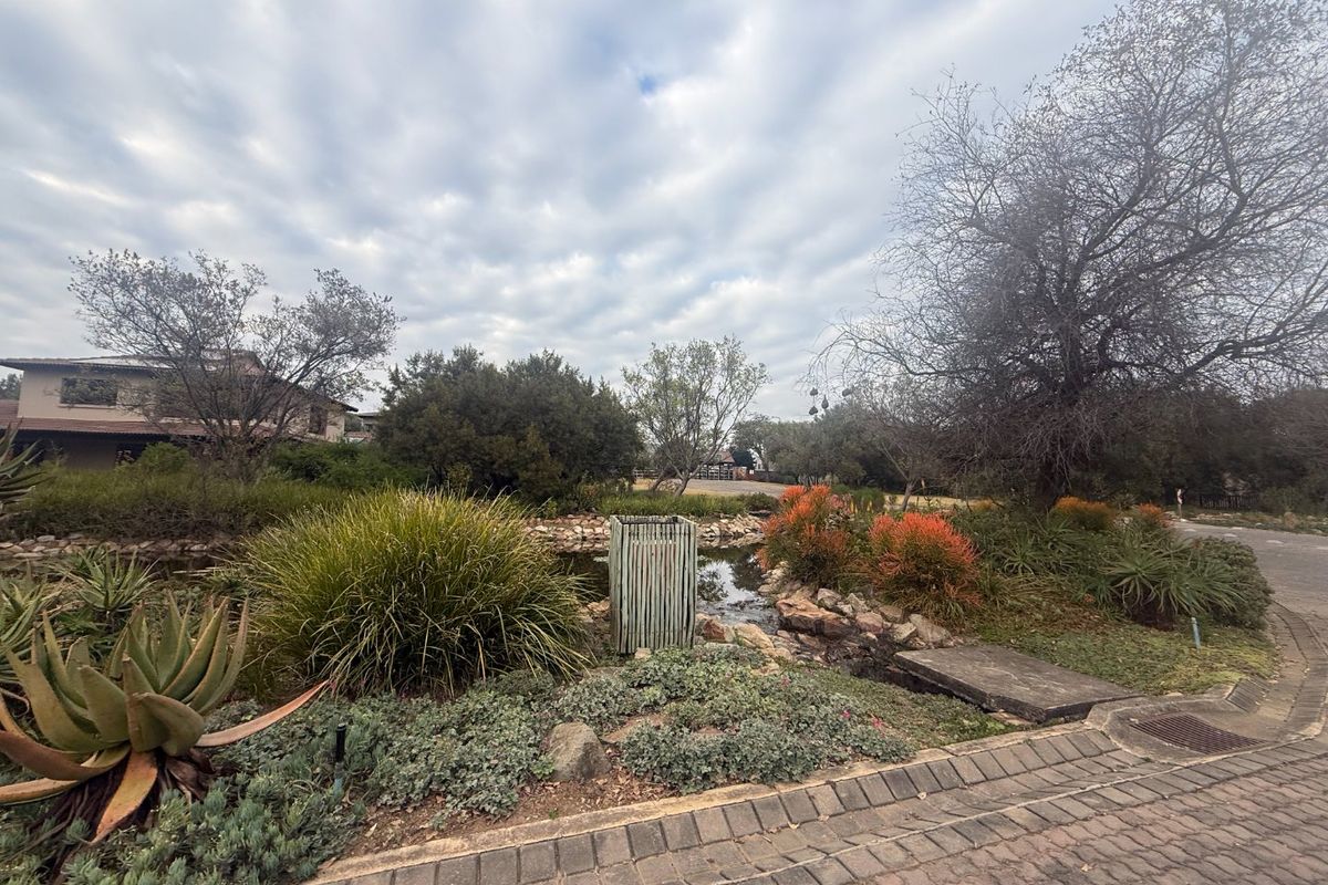 A well-maintained residential garden featuring a stone-lined water feature, mature landscaping, and paved driveway access.