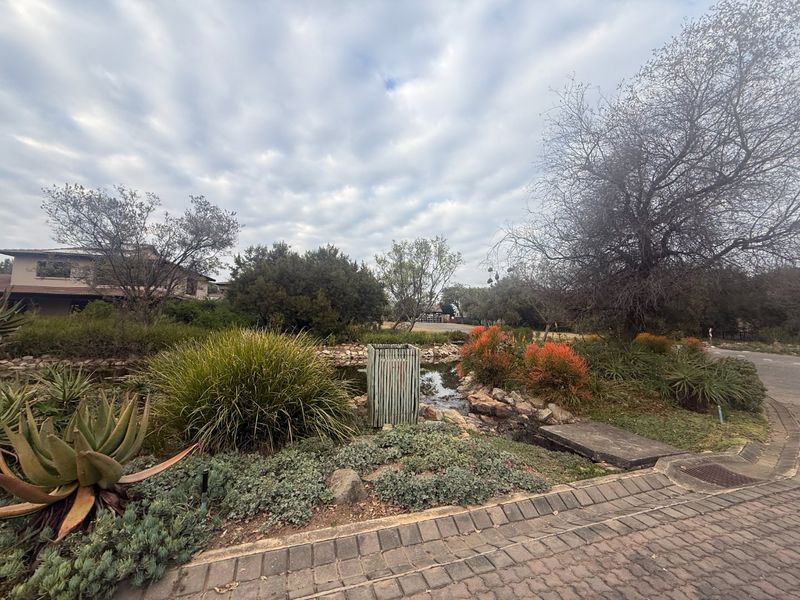A well-maintained residential garden featuring a stone-lined water feature, mature landscaping, and paved driveway access.