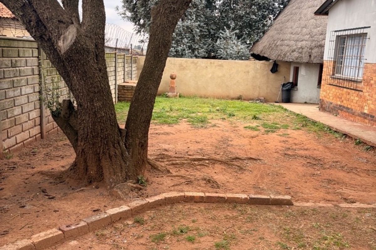 A rear garden area featuring a large mature tree, brick boundary walls, and a section of the house with a traditional thatched roof.