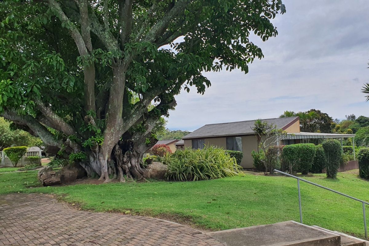 A view of the rear exterior of the townhouse, featuring a paved walkway, concrete steps with a metal handrail, and established garden landscaping.