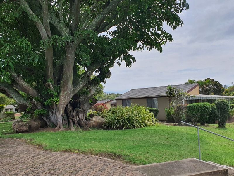 A view of the rear exterior of the townhouse, featuring a paved walkway, concrete steps with a metal handrail, and established garden landscaping.