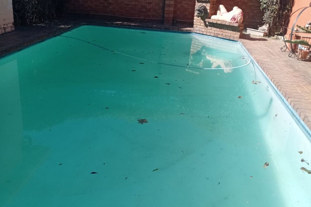 A UNIQUE 2 BEDROOM HOUSE IN TURFONTEIN -  - Photo 3