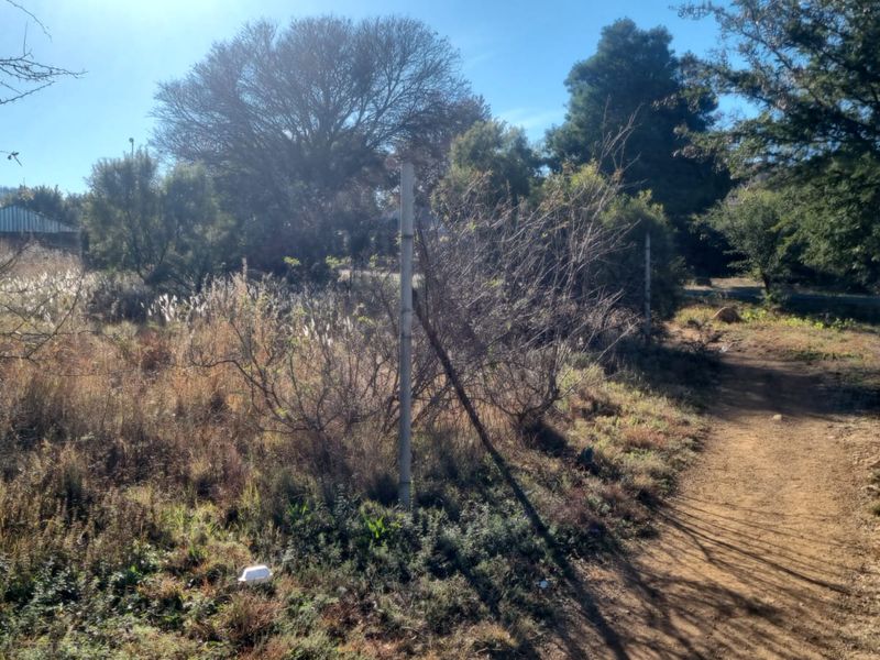 A view of a vacant residential plot featuring natural vegetation, dirt pathways, and existing boundary fencing posts.