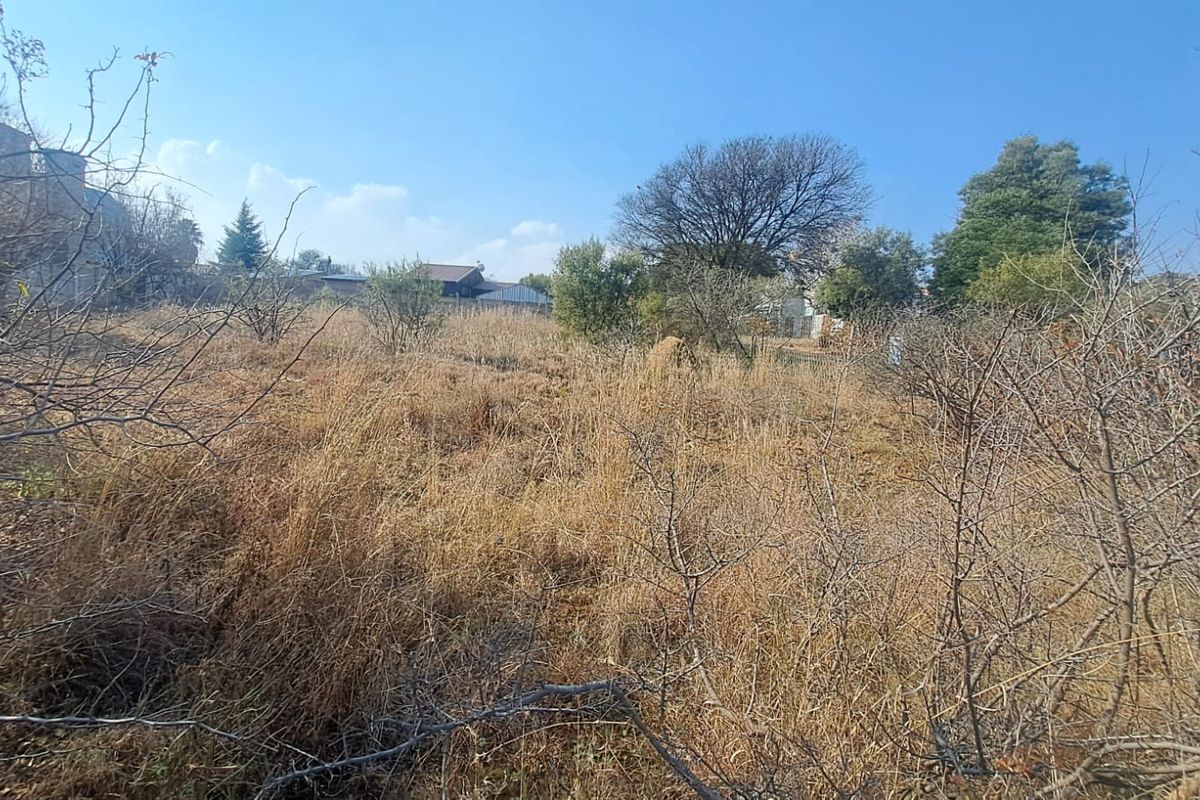 A view of a vacant residential plot featuring wild vegetation and mature trees, offering a blank canvas for future development.