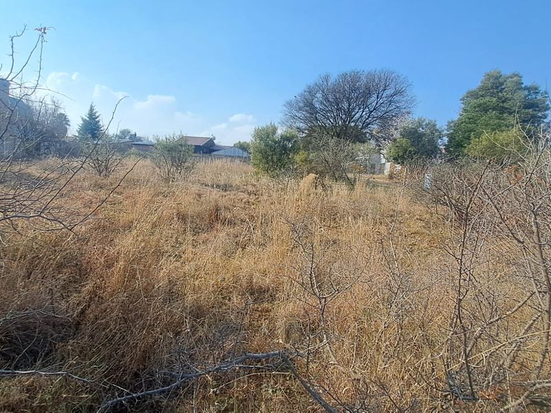 A view of a vacant residential plot featuring wild vegetation and mature trees, offering a blank canvas for future development.