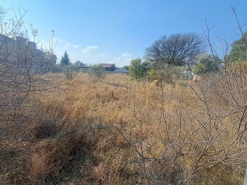 A view of a vacant residential plot featuring dry, overgrown vegetation and a utility pole on the perimeter.