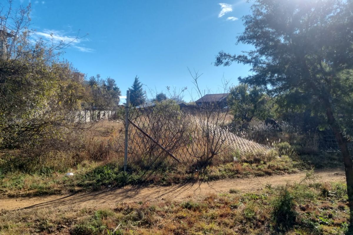 A view of a vacant residential plot featuring overgrown vegetation, mature trees, and damaged wire mesh fencing along the perimeter.