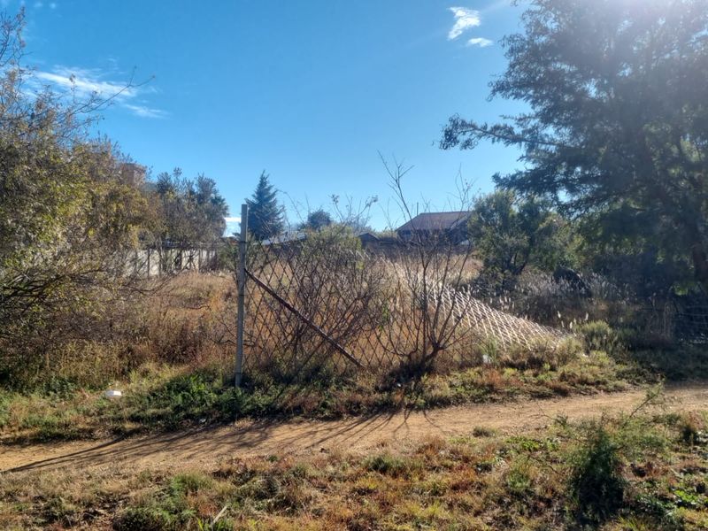 A view of a vacant residential plot featuring overgrown vegetation, mature trees, and damaged wire mesh fencing along the perimeter.