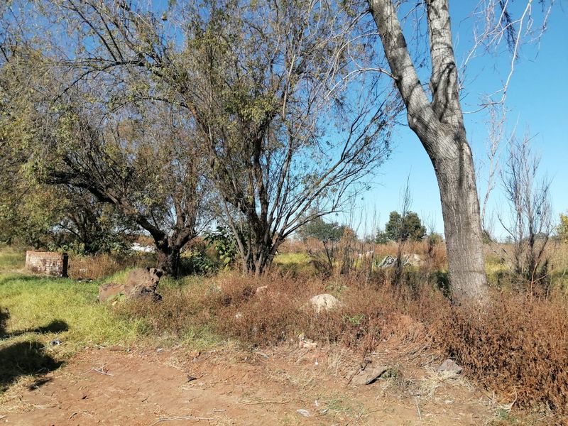 4500 SQUARE METERS MIXED USED REZONED VACANT LAND BUSINESS PROPERTY FOR RENTAL - Photo 9