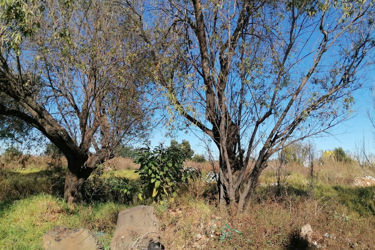 5500 SQUARE METERS MIXED USED REZONED VACANT LAND BUSINESS PROPERTY FOR RENTAL - Photo 3