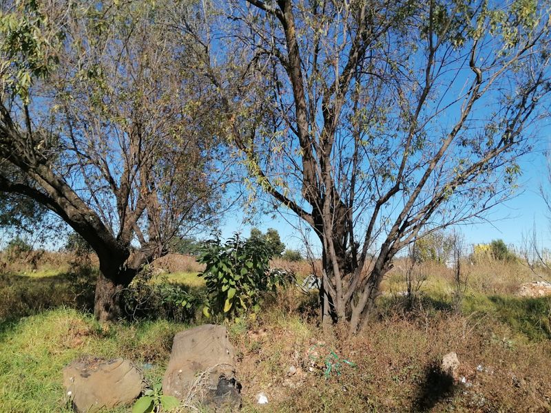 5500 SQUARE METERS MIXED USED REZONED VACANT LAND BUSINESS PROPERTY FOR RENTAL - Photo 3
