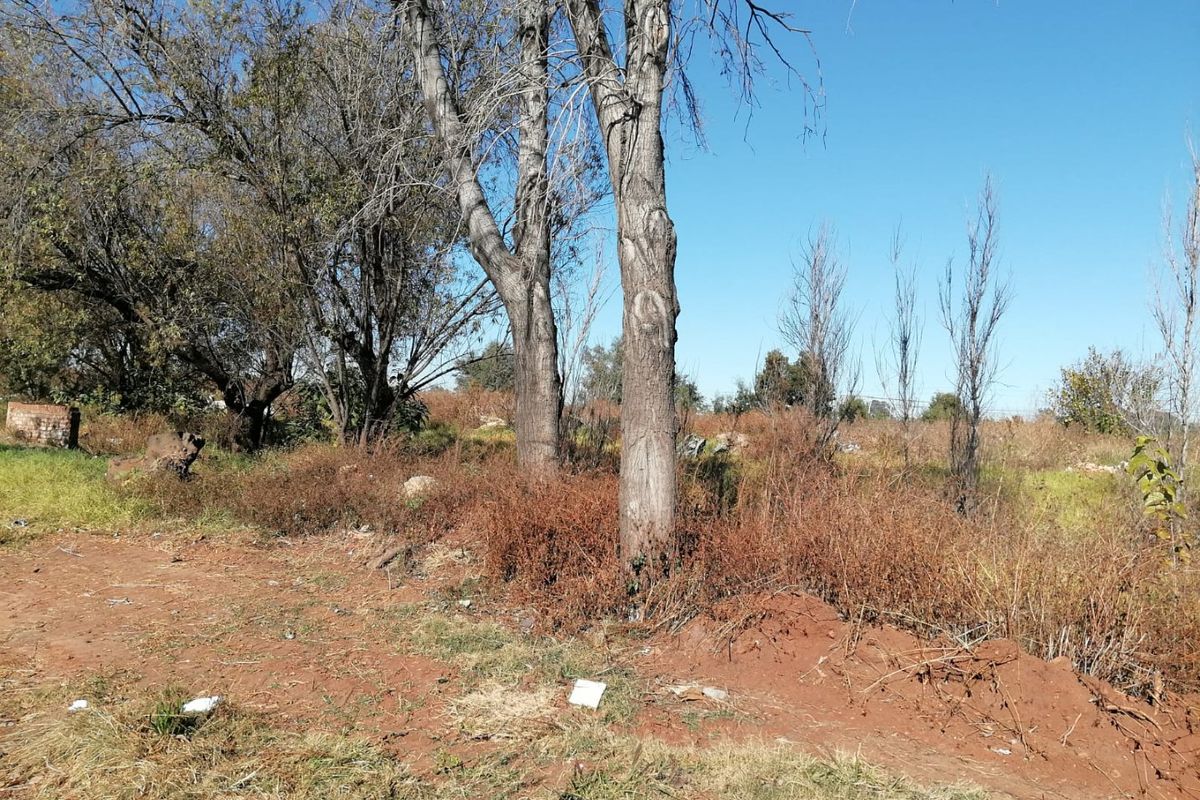 6500 SQUARE METERS MIXED USED REZONED VACANT LAND BUSINESS PROPERTY FOR RENTAL - Photo 3