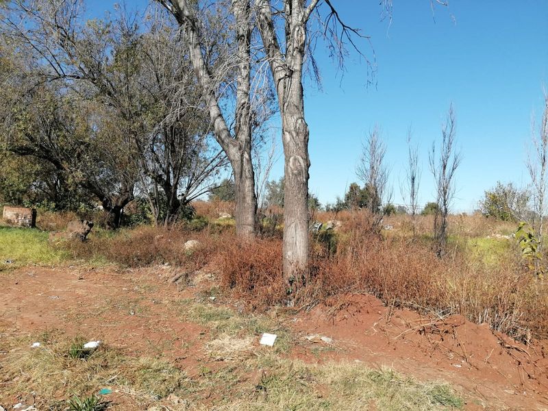 6500 SQUARE METERS MIXED USED REZONED VACANT LAND BUSINESS PROPERTY FOR RENTAL - Photo 3