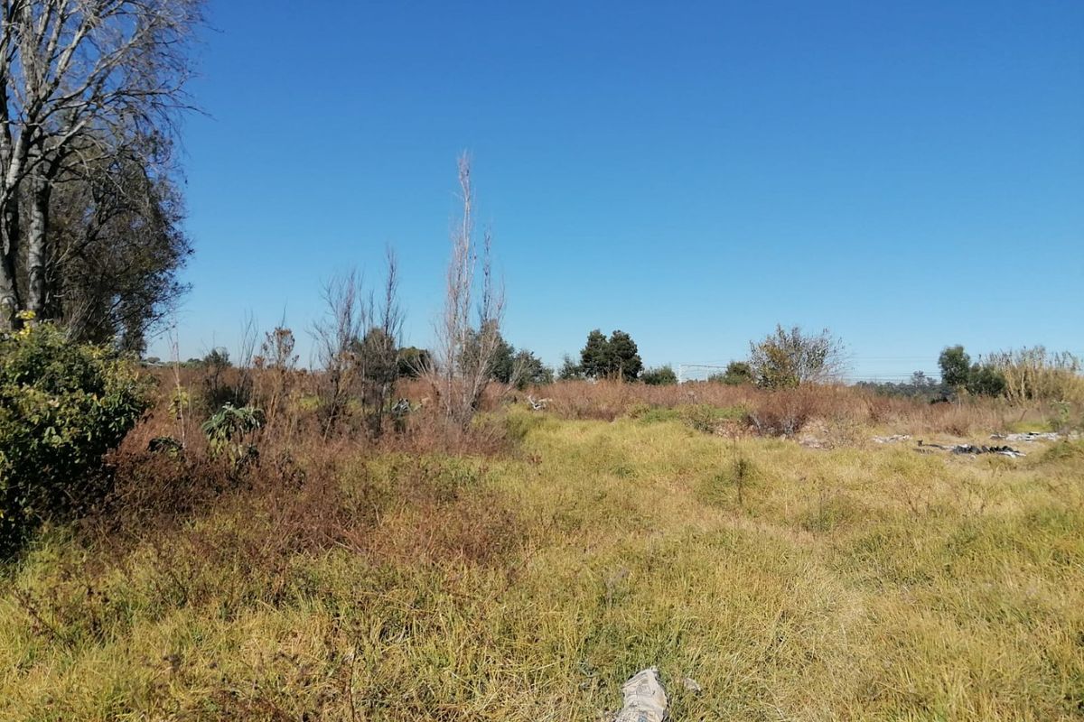 6500 SQUARE METERS MIXED USED REZONED VACANT LAND BUSINESS PROPERTY FOR RENTAL - Photo 5