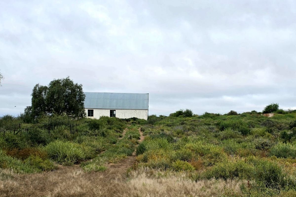 Expansive Karoo Livestock Farm for Sale Near Van Wyksvlei, Northern Cape - Photo 5