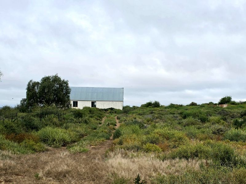 Expansive Karoo Livestock Farm for Sale Near Van Wyksvlei, Northern Cape - Photo 5