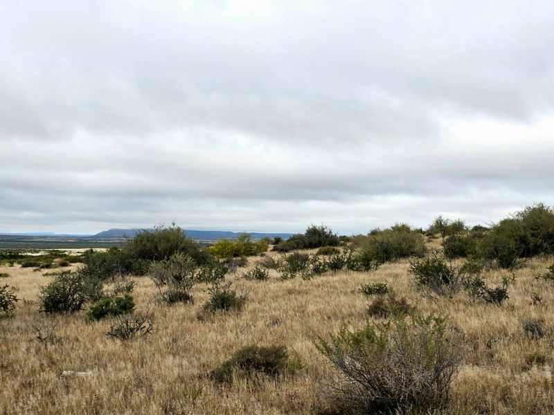Expansive Karoo Livestock Farm for Sale Near Van Wyksvlei, Northern Cape - Photo 9