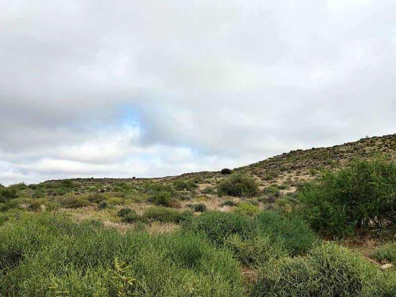 Expansive Karoo Livestock Farm for Sale Near Van Wyksvlei, Northern Cape - Photo 10