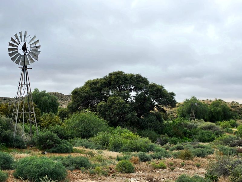 Expansive Karoo Livestock Farm for Sale Near Van Wyksvlei, Northern Cape - Photo 7