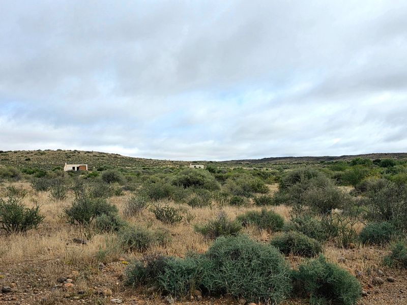Expansive Karoo Livestock Farm for Sale Near Van Wyksvlei, Northern Cape - Photo 6