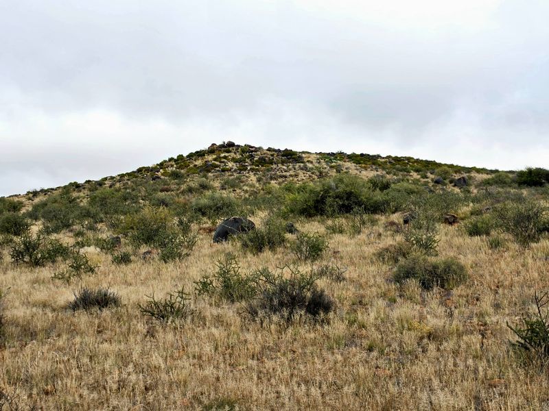 Expansive Karoo Livestock Farm for Sale Near Van Wyksvlei, Northern Cape - Photo 8