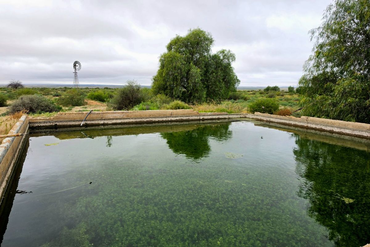 Expansive Karoo Livestock Farm for Sale Near Van Wyksvlei, Northern Cape - Photo 3