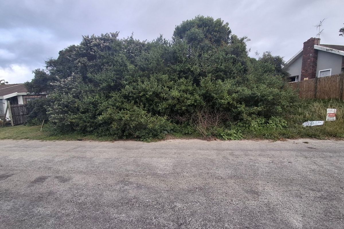 Street view of a vacant residential plot featuring dense overgrown vegetation and existing boundary fencing.