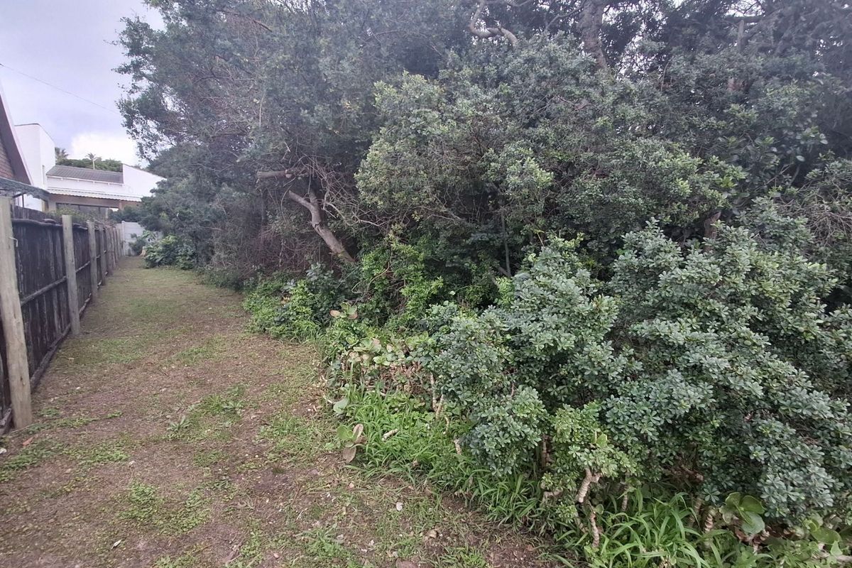 A side garden area featuring established mature trees, dense shrubbery, and a timber boundary fence on a residential vacant land plot.