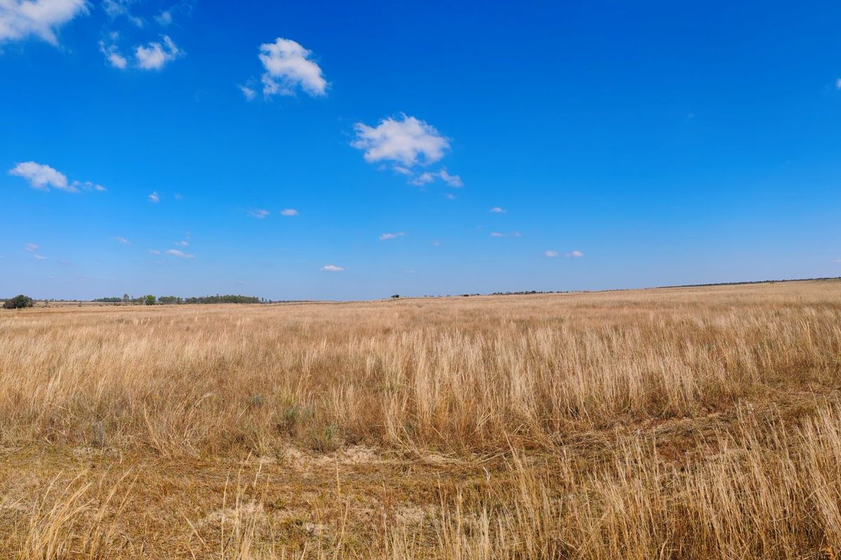 Farm for sale, Mookgopong - Photo 3