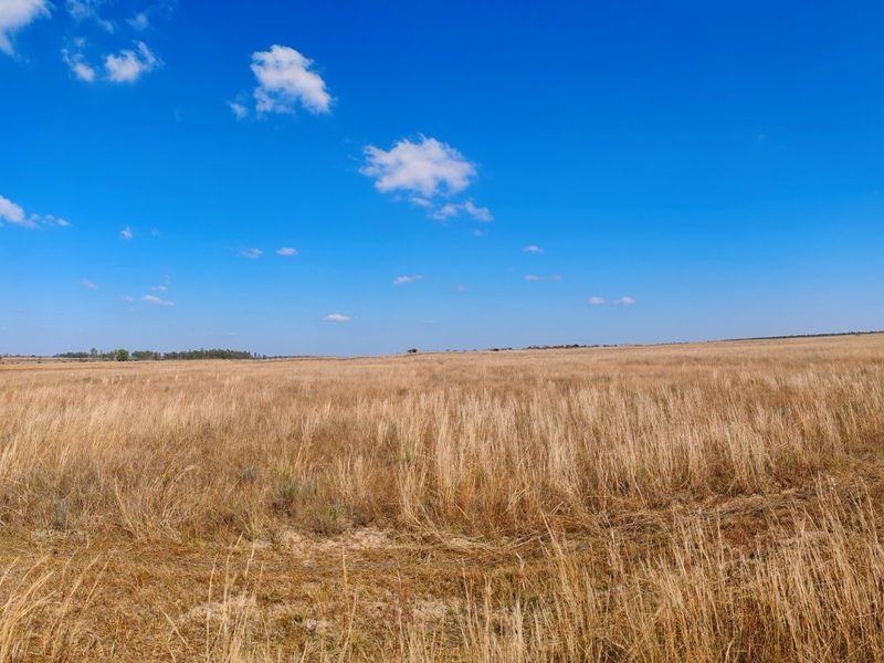 Farm for sale, Mookgopong - Photo 3