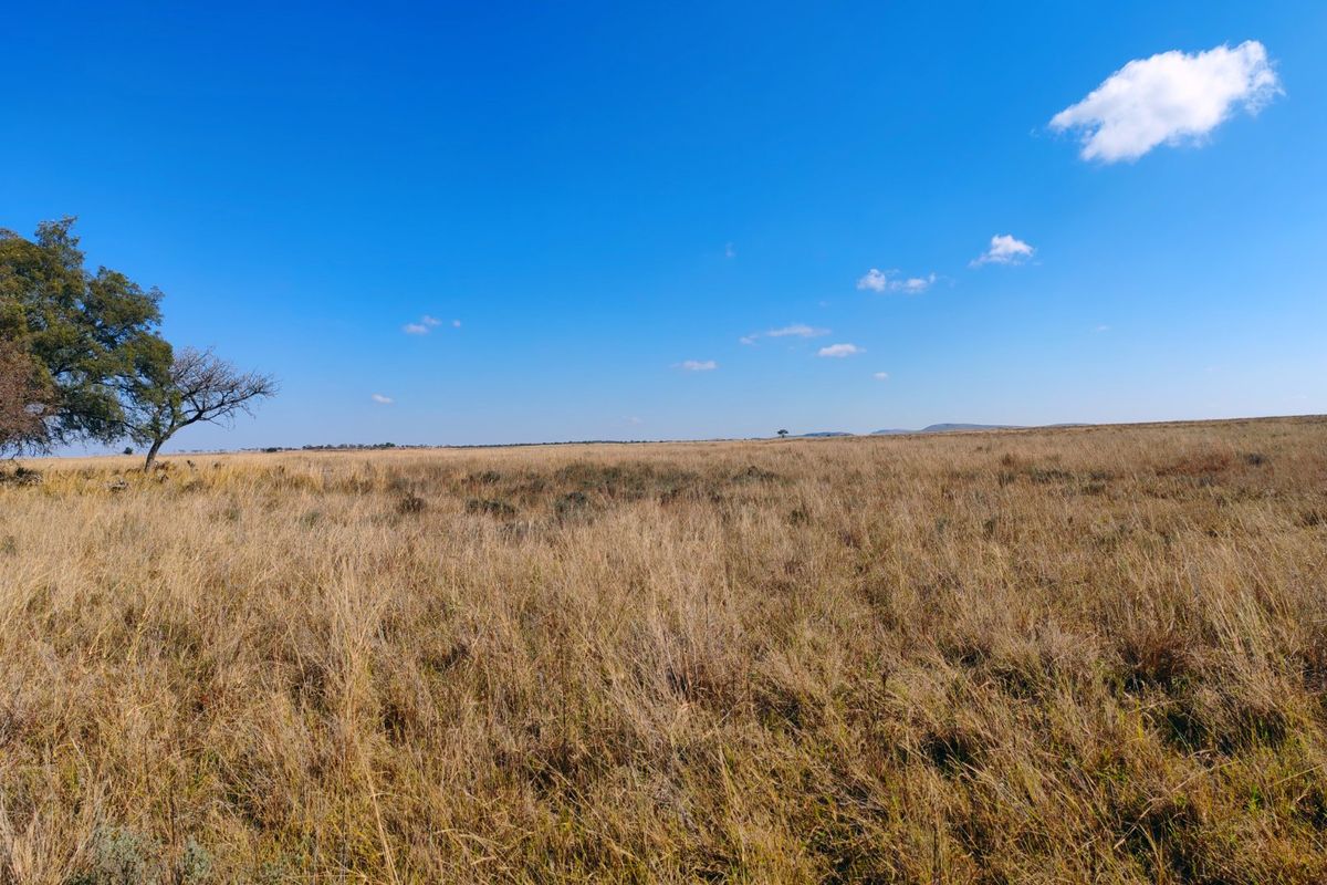 Farm for sale, Mookgopong - Photo 2