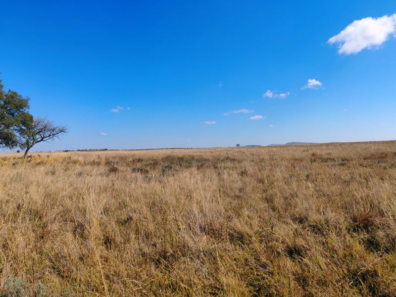 Farm for sale, Mookgopong - Photo 2